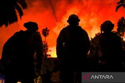 Puluhan orang ditahan selama kebakaran hutan di Los Angeles