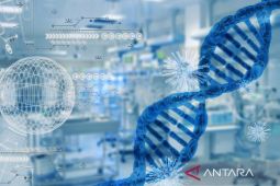 Risiko serangan jantung dan stroke dapat meningkat karena infeksi virus