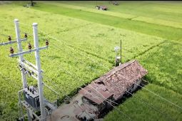 Program "Electrifying Agriculture" PLN raih 53.539 pelanggan baru di tahun 2024