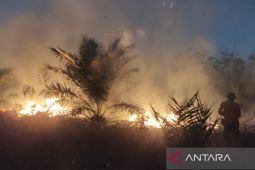 BPBD Bangka Barat: Ada 86 kejadian bencana sepanjang 2024
