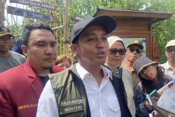 Menhut bantah deforestasi hutan, tapi pakai pola tumpang sari