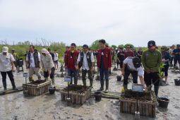 Menhut mulai lakukan penanaman lima hektare mangrove di Bali