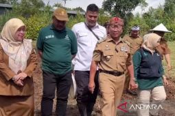 Pemkab Cianjur  tanam jagung di lahan 675 ha pada 2025
