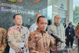 Ketua Satgas:  Hilirisasi harus jadi pemicu pertumbuhan ekonomi