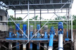 Program Electrifying Agriculture PLN raih 53.539 pelanggan baru di 2024