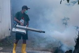 Cegah DBD, Ponorogo gelar gerakan PSN serentak