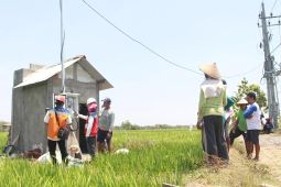 Dukung tranformasi pertanian modern, PLN raih 53.539 pelanggan baru sepanjang 2024
