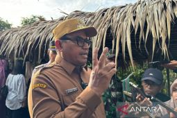 Tenaga honorer di Penajam  tak lulus PPPK 2024 diakomodasi paruh waktu