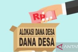 Pemkab Karawang terima dana desa 2025 sebesar Rp358,978 miliar