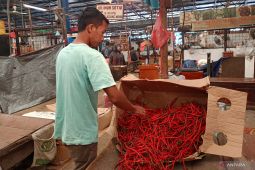 Program "Rawita Peti" optimistis mampu stabilkan harga pangan di Jaktim