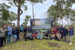 PLN UIP Nusra bersama UPT KPH Wilayah TTS sebar ratusan bibit pohon di Timor Tengah Selatan