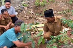 Dinas LH Bekasi tanam bibit pohon di lahan bekas TPS ilegal