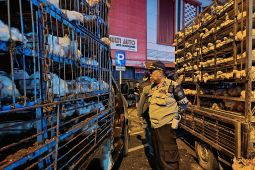Tim gabungan Pemerintah Kota Pontianak tertibkan bongkar muat di jalan