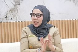 Dinas Pariwisata dan Budaya Langkat sediakan 100 stand gratis