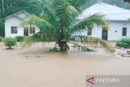1.459 rumah di Batang Kapas Sumbar terendam banjir