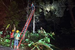 PLN mengimbau warga Lampung waspada bahaya cuaca ekstrem