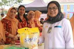 Bulog siapkan 20 ribu ton beras SPHP sasar pasar tradisional di Sultra