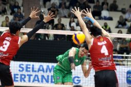 Tutup seri Malang, LavAni gilas Palembang Bank Sumsel Babel 3-0