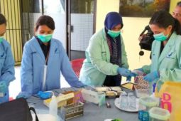 BPOM Ambon uji sampel makanan bergizi  gratis