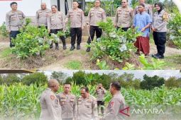 Itwasum motivasi kelompok tani dukung ketahanan pangan di Banjar