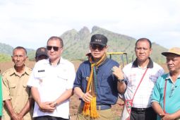 Nagekeo punya potensi swasembada pangan nasional