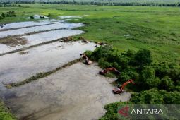Hulu Sungai Tengah cetak sawah rakyat 23.186 hektare