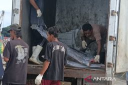 Biak fokuskan dana desa untuk enam prioritas