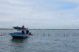 KKP pastikan penyelidikan pagar laut Tangerang dengan profesional