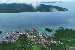 Ministry investigates dolphin slaughter in SE Sulawesi