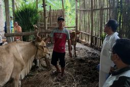 Cegah PMK, Disnakan Magetan minta peternak jaga kebersihan kandang ternak