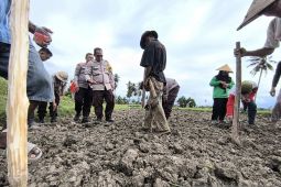 Polresta Palu kolaborasi tanam jagung untuk swasembada pangan