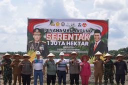 Polres Langkat tanam jagung dukung katahanan pangan nasional