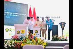 Presiden Prabowo resmikan 37 proyek strategis ketenagalistrikan