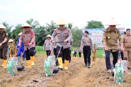 Polda Jambi tanam jagung wujudkan swasembada pangan