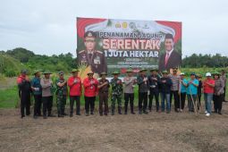 TNI-Polri dan Pemkab Tabanan tanam jagung wujudkan ketahanan pangan