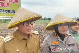 Pemkab Cirebon optimalkan lahan tidur untuk produksi jagung