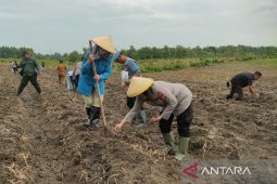 Polresta Cirebon menyiapkan 302,5 hektare lahan untuk ketahanan pangan