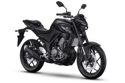 New Yamaha MT-25 Semakin Tonjolkan Aura "The Master of Torque" yang Agresif