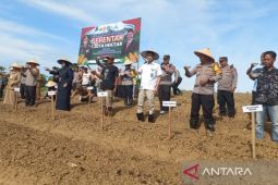 Polres Balikpapan tanam jagung serentak tingkatkan ketahanan pangan