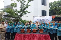 Kepulauan Seribu tanam sayuran di 66 lokasi untuk swasembada pangan