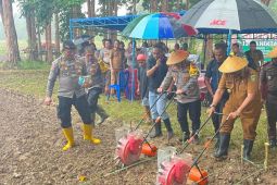 Polres SBB  tanam jagung serentak  wujudkan swasembada pangan 2025
