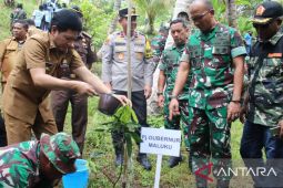 Kodam Pattimura tanam 1.000 bibit pohon sebagai upaya pelestarian lingkungan