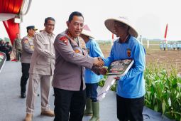 Kapolri sebut program penanaman jagung langkah strategis swasembada pangan