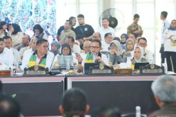 Pemda perlu pahami isu ketahanan pangan dari hulu-hilir