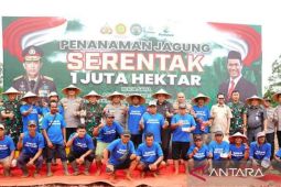 Bekasi siapkan 70 hektare lahan tanam jagung