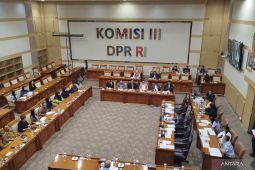 Rieke melapor Komisi III soal salah tangkap mirip Vina Cirebon di Tasikmalaya