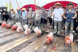 Polda Kalsel targetkan 99 ribu hektare lahan penuhi 300 ribu ton jagung
