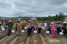 Forkopimda Bangka Barat tanam lahan ketahanan pangan di Desa Airlimau