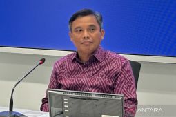 BTN tidak akan setujui developer yang bangun rumah di lahan sawah