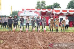 Pemkab Bangkalan lakukan penanaman jagung serentak